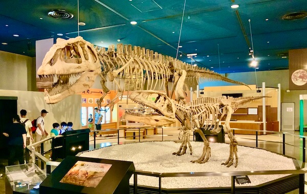 名古屋市科学館の恐竜模型