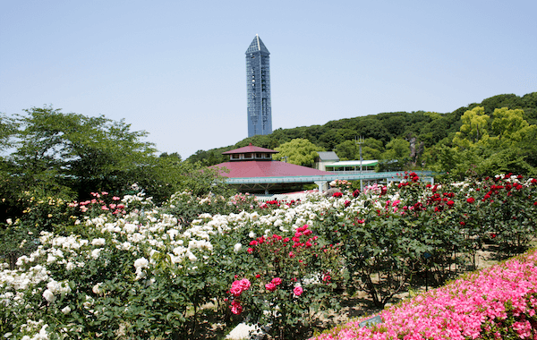 東山植物園と東山スカイタワー