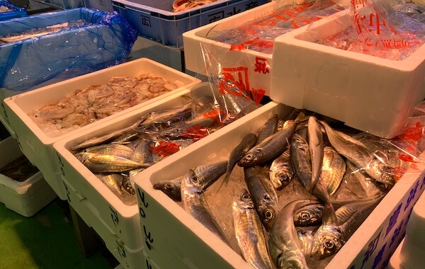 柳橋中央市場 マルナカ食品センターの鮮魚